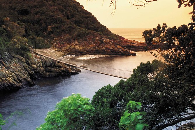 5 Day Cape to Addo Safari - Garden Route Small Group Tour - Highlights of the Route