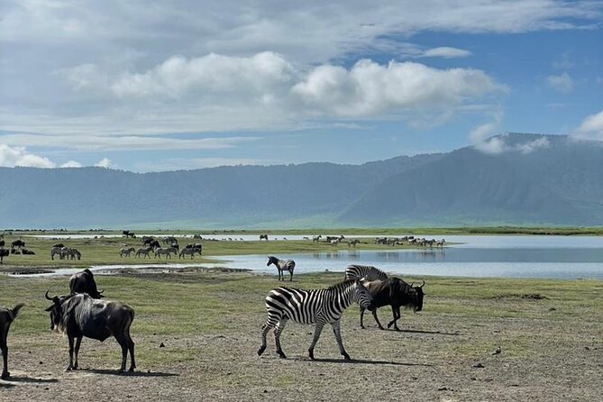 5 Days Tanzania Joining Safari With Pick up Included Shared Tour - Traveler Reviews