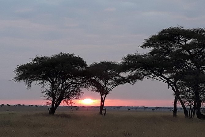 5 Days Tarangire, Serengeti, Ngorongoro & Manyara Mid-Range Camping Safari Tour - Additional Information