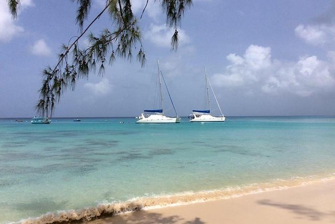 5-Hour Small-Group Catamaran Cruise From Bridgetown With Lunch - Cruise Duration and Group Size