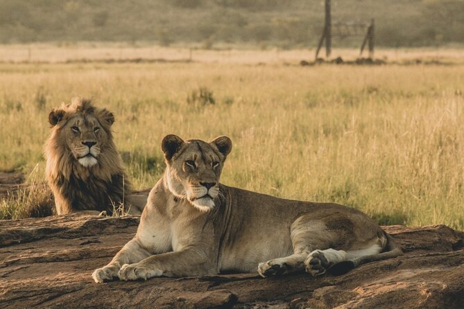 6 Day Group Camping Safari Tarangire Serengeti Ngorongoro Manyara - Packing and Preparation