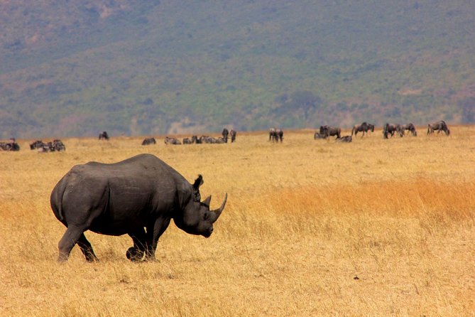 6 Days 5 Nights Lodge Safari Tarangire, Manyara, Serengeti & Ngorongoro Crater - Destinations