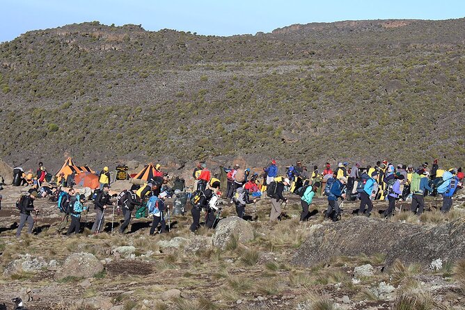 6 Days: Hiking Kilimanjaro via Machame Route - Stunning Scenery and Wildlife