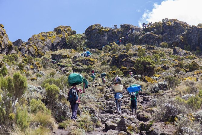 6 Days Mount Kilimanjaro Trek Marangu Route - Cancellation and Refunds