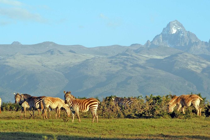 6 Days Safari - Visit; Masai Mara, Lake Nakuru & Amboseli - Preparing for the Safari