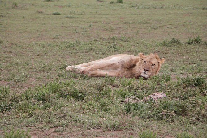 6 Days Tarangire, Serengeti, Ngorongoro & Manyara Joining Safari Tour Tanzania - Excluded Tour Expenses