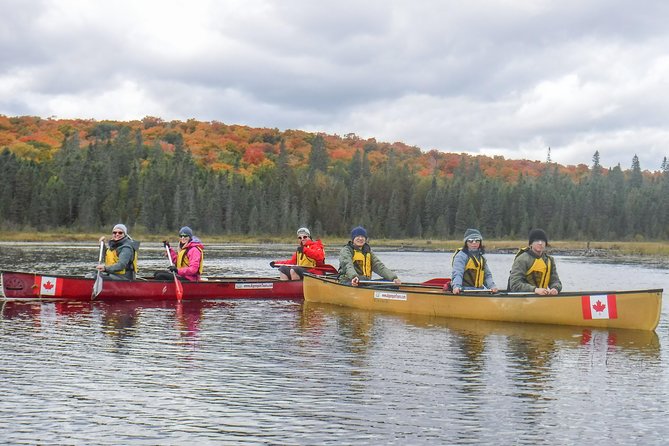 6 Hour Algonquin Park Canoe Trip - Cliff Jumping and Swimming