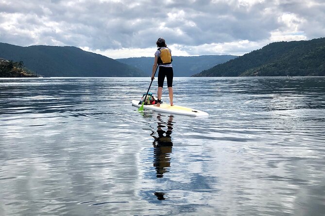 6 Hour SUP Finlayson Arm Fjord - Preparing for the Excursion