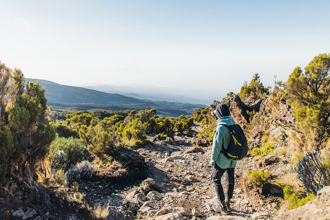 7 Days Kilimanjaro Trek via Machame Route - Safety Precautions