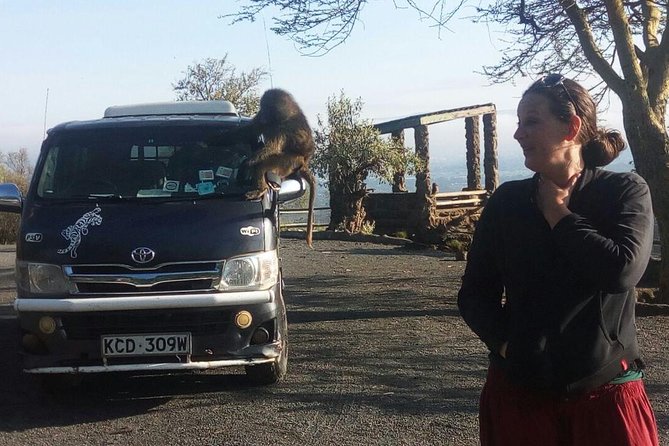 7 Days Maasai Mara - Lake Nakuru - Lake Naivasha - Amboseli Safari - Feedback and Ratings