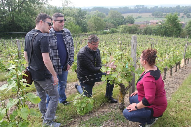 7-Hour Guided Wine Tour in Loire Valley - Tasting Exceptional Wines