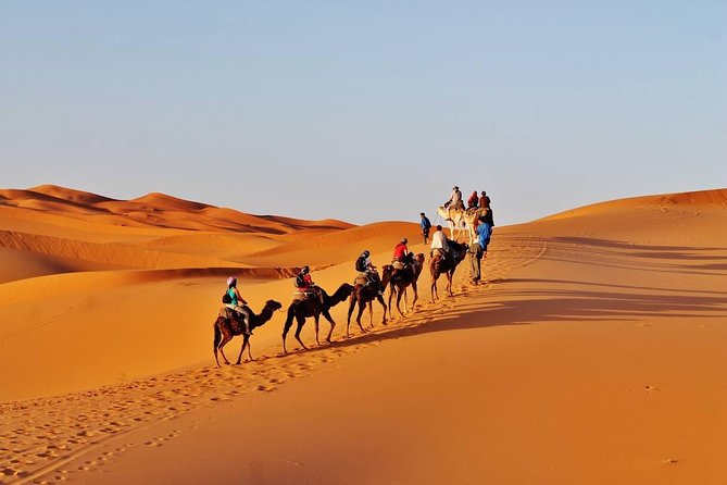 8 - Day Morocco Tour From Casablanca via Sahara Desert - Marrakech and Local Guides