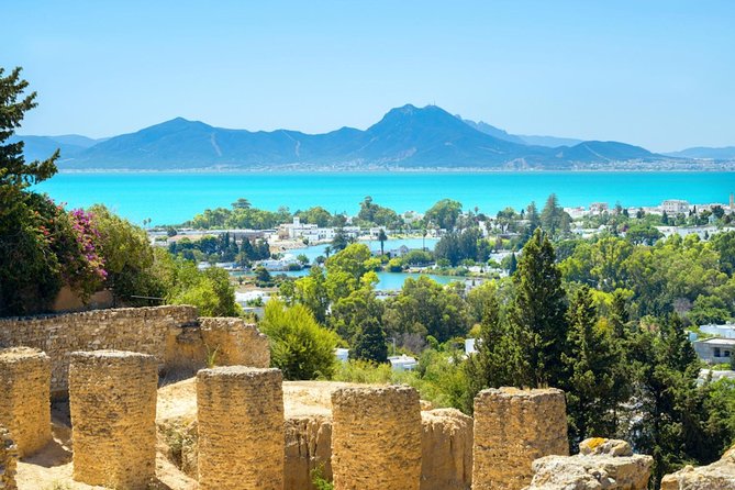 8 Days Tunisia Essential Discovery Private Tour - Highlights of the Tour