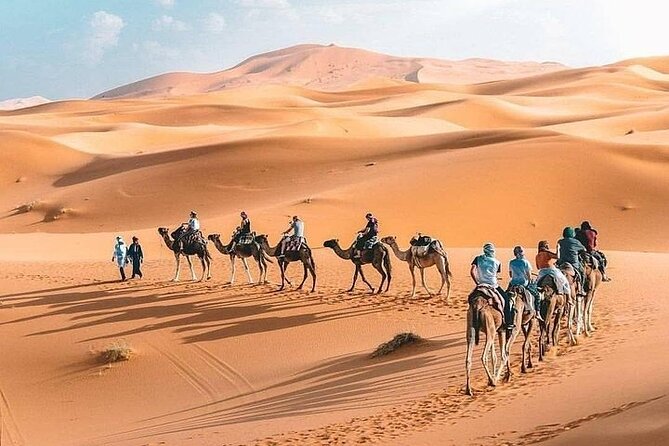 8D Morocco Luxury Private Tour From Casablanca By Imperial Cities - Camel Ride and Desert Camp