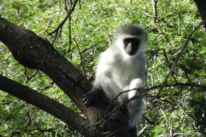 Addo Elephant National Park - HD01 - Tour Booking and Cancellation