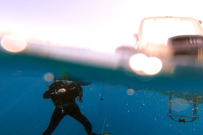 Adventure Dives for Certified Divers in Nea Makri, Athens - Safety and Precautions