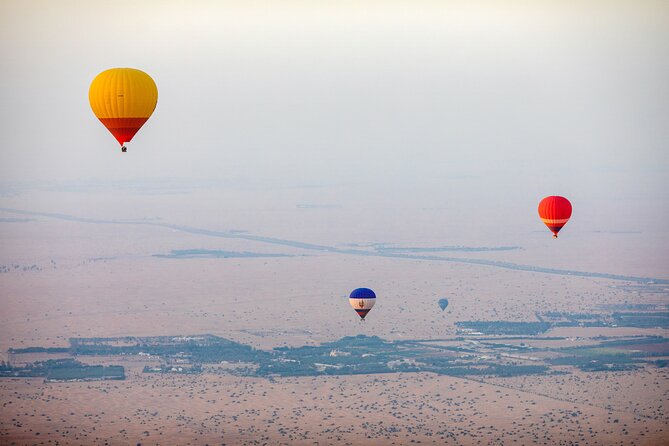 Adventure Hot Air Balloon With Buffet Breakfast & Falcon Show - Memorable Camel Encounter