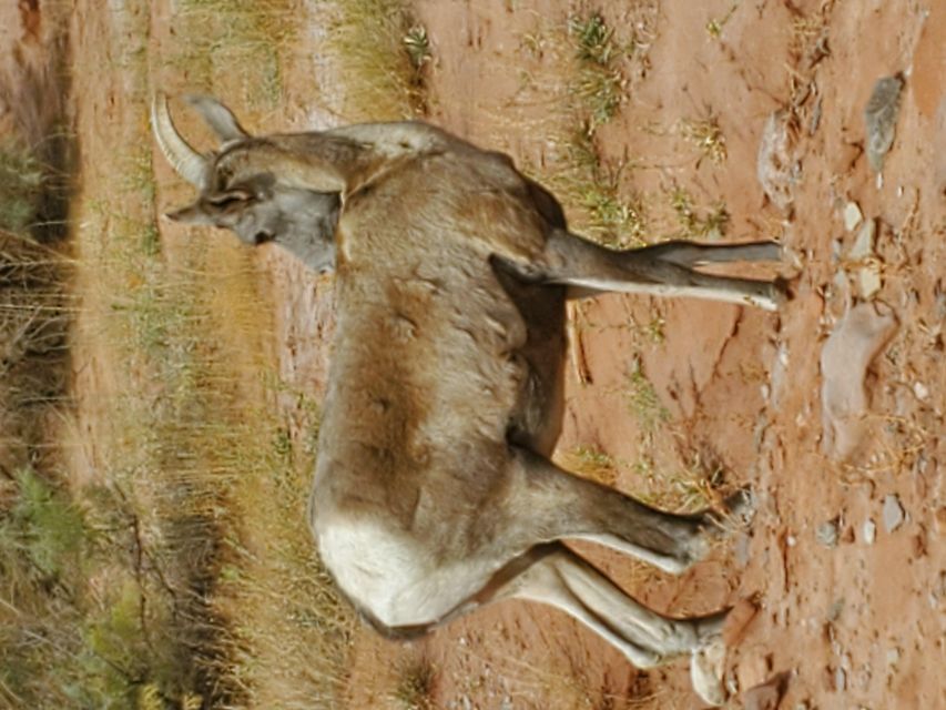 Afternoon Canyonlands Island In The Sky 4X4 Tour - Knowledgeable and Experienced Guide