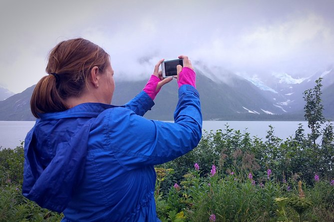 Afternoon Wilderness, Wildlife, Glacier Experience From Anchorage - Customer Feedback Highlights