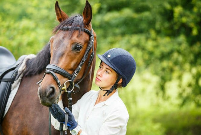 Agadir 2-Hour Private Horse Riding Experience With Pickup - Scenic Sunset Ride