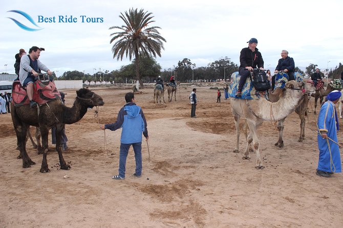 Agadir Camel Riding - Inclusion and Exclusion