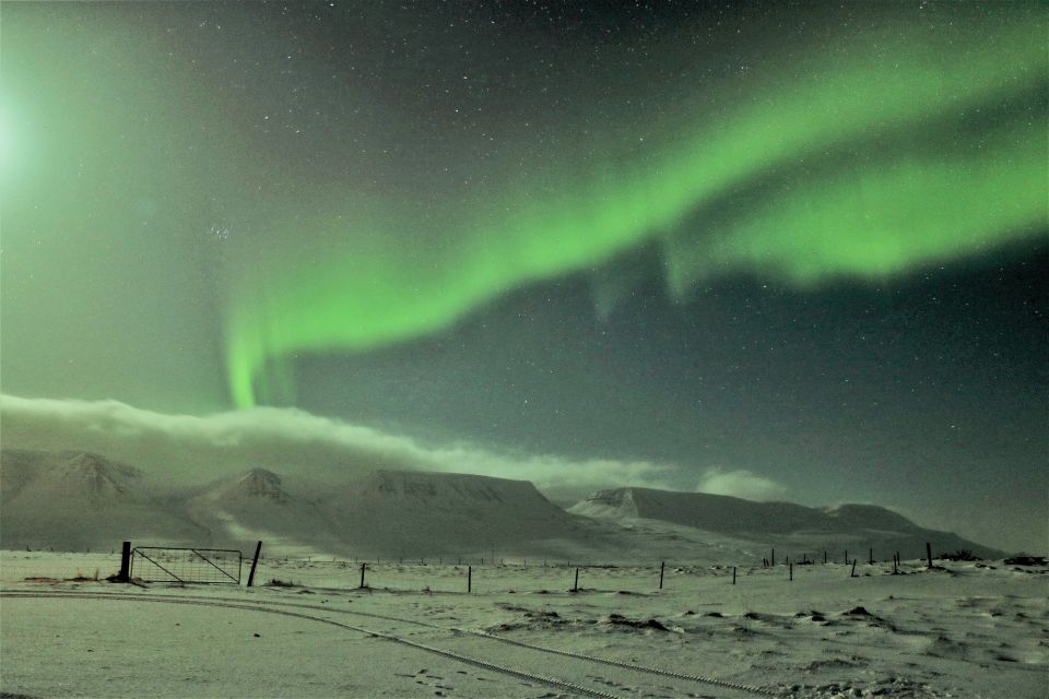 Akureyri: Hunt for the Northern Lights Photography Tour - Contact Information