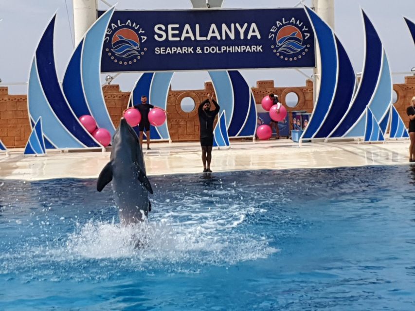 Alanya: Sealanya Dolphin Park Dolphin Show Tour - Swim With Seals Option