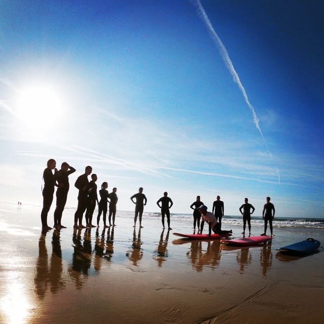 Albufeira: 2-Hour Falesia Beach Surf Lesson - Price and Availability