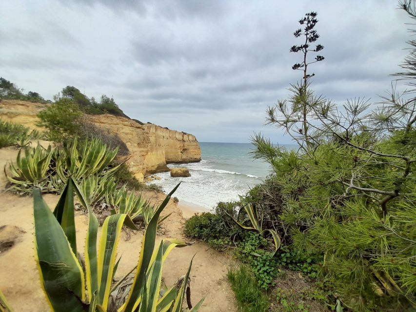 Albufeira: Algarve Cliffs and The Chapel of Bones Tour - Whats Included in the Tour