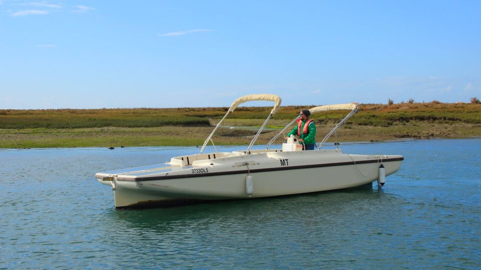 Algarve: Eco Boat Tour in the Ria Formosa Lagoon From Faro - Tour Highlights and Attractions