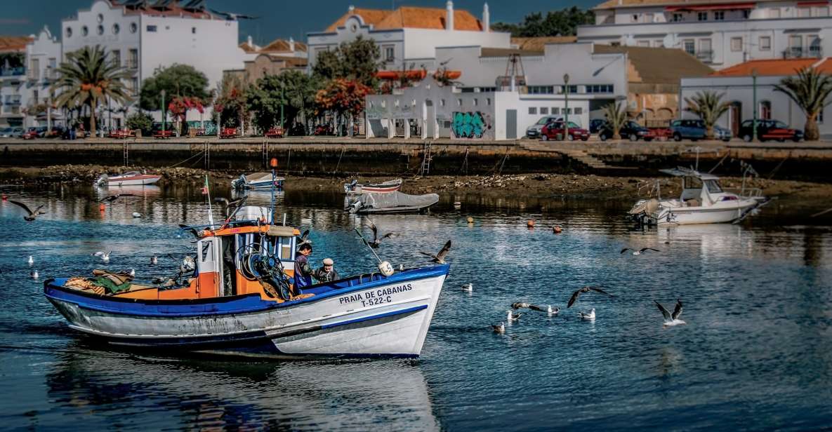 Algarve: Off-the-Beaten-Path Day Trip - Olhão Market