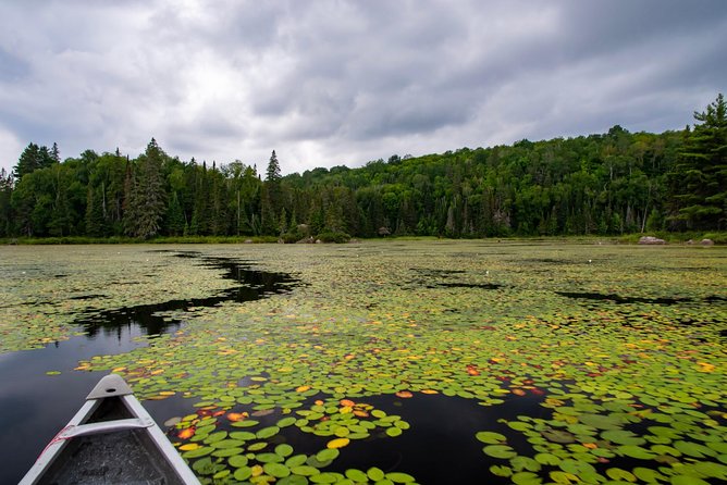 All-Inclusive Algonquin Backcountry Canoe Experience - Trip Flexibility and Customization