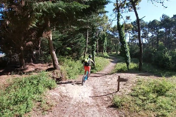 All-Terrain Electric Scooter - 1h30 Guided by GPS - Carnac Beaches - Tour Highlights and Itinerary