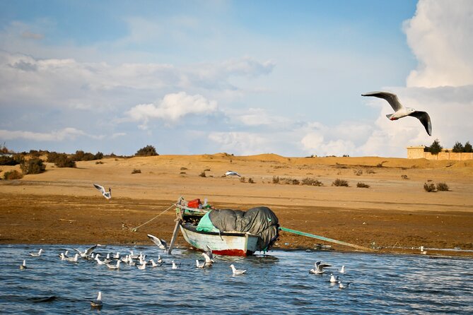 Allinclusive Private Tour Fayoum Oasis Waterfalls&Valley of Wales - Cancellation Policy