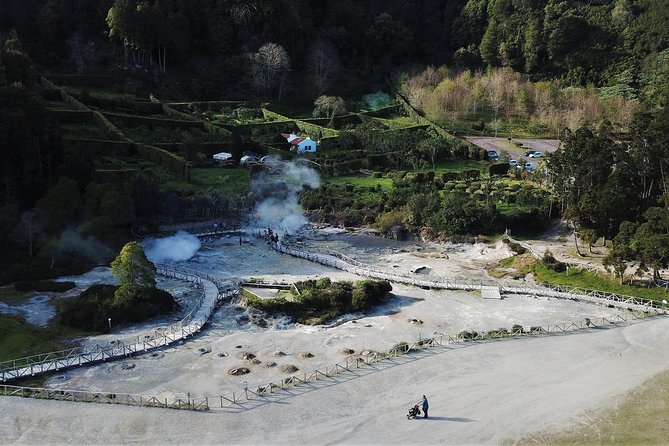 Amazing Furnas, Volcano, Lakes and Tea Plantation - Tea Plantation Exploration