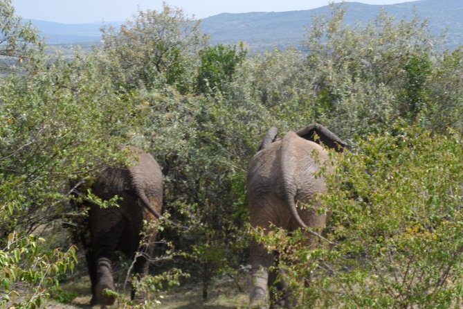 Amboseli National Park Day Tour From Nairobi - Hotel Pickup and Drop-off