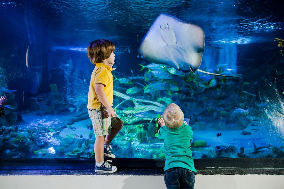 American Dream: SEA LIFE® Aquarium Entry Ticket - Location and Amenities