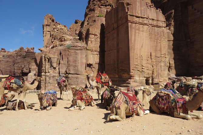 Amman to Petra Round Trip - Wheelchair Accessibility