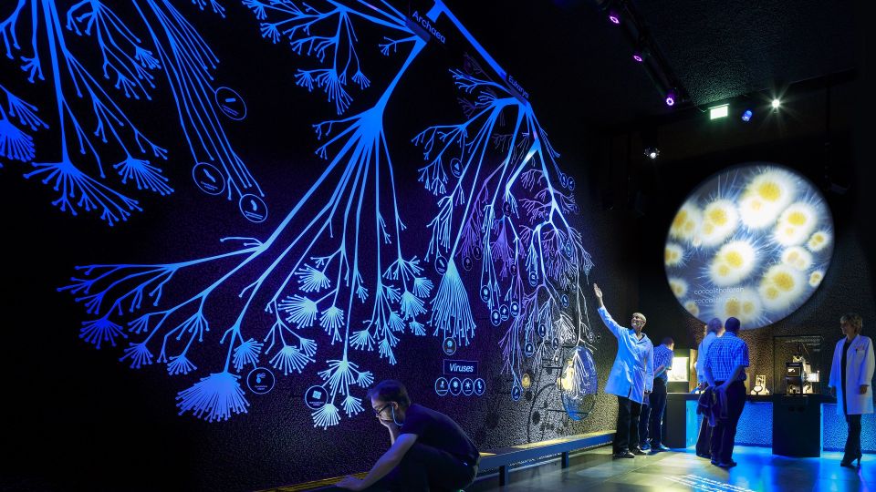 Amsterdam: ARTIS-Micropia Microbe Museum Entry Ticket - Check Availability and Opening Times