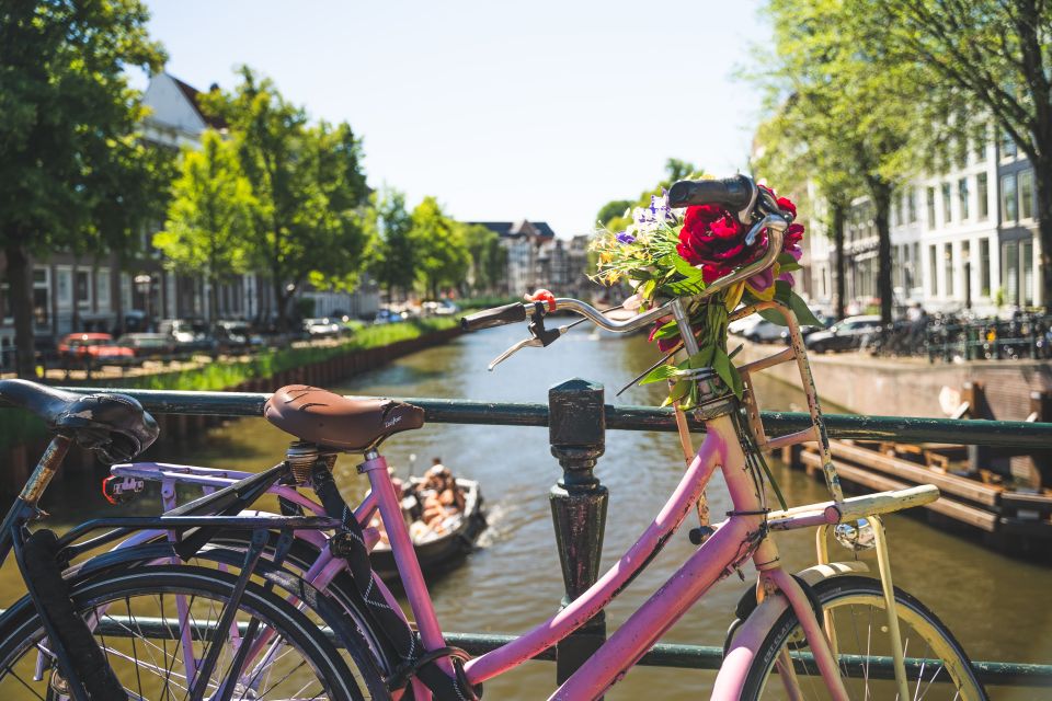 Amsterdam: Countryside Bike Tour - Flood Management and Cheese