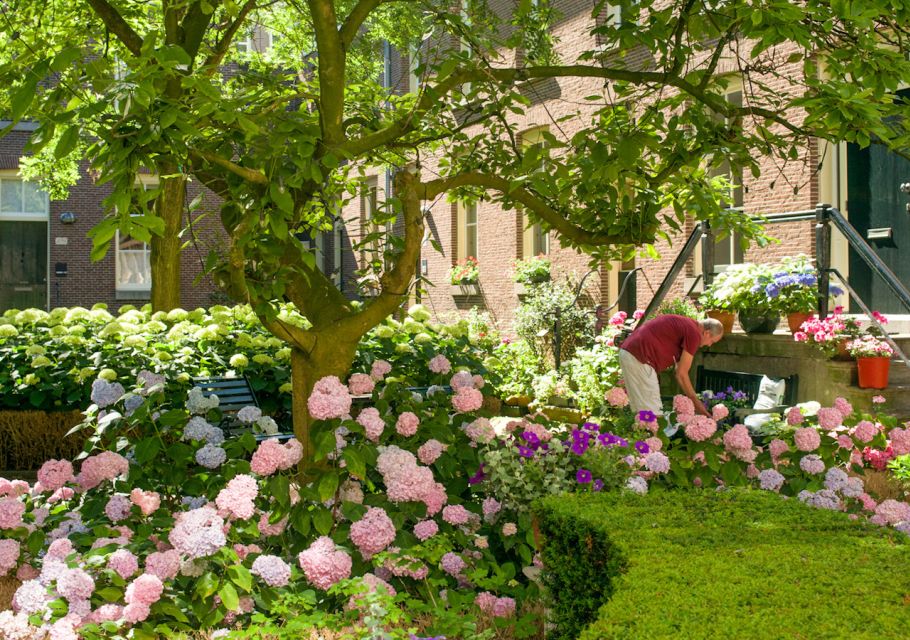 Amsterdam: Jordaan District Tour With a German Guide - Meeting Point and Availability