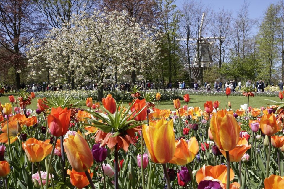 Amsterdam: Tour to Keukenhof Gardens With Windmill Cruise - Accessibility