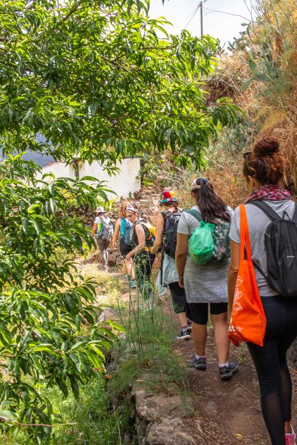 Anaga: Women Wise Footprints Tour - Heroical Farming Vineyards