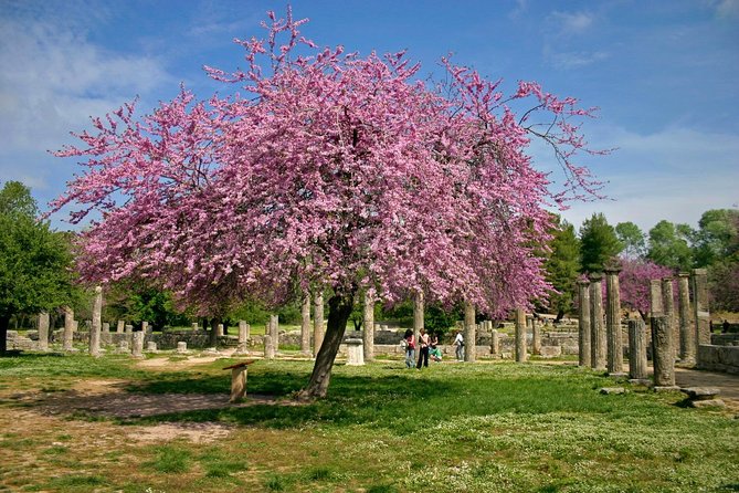 Ancient Olympia/ Ancient Corinth Private Tour From Athens/ Nafplio (Up 12 Hours) - Discovering Ancient Corinth