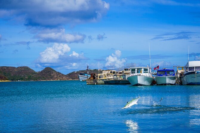 Antigua Shore Excursion: City of St Johns Sightseeing Tour - Pricing Information