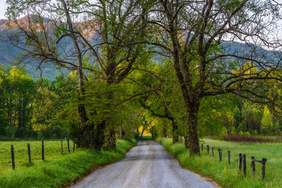 Appalachian Mountain Self-Guided Driving Audio Tour Bundle - Booking and Pricing