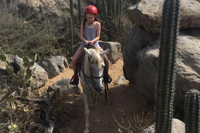 Aruba Horseback Riding Tour to Hidden Lagoon - Wildlife Sightings