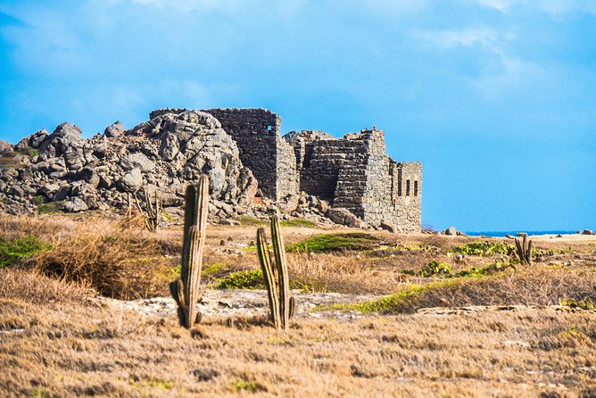 Aruba Island Sightseeing Tour Plus Arashi Beach Visit - California Lighthouse