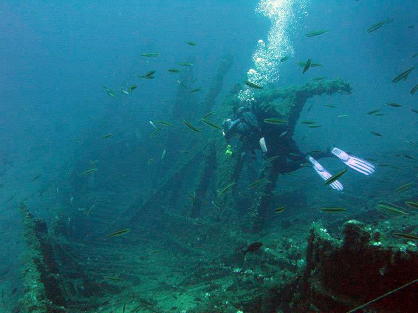 Athens: Adventure Dives in Nea Makri for Certified Divers - Dive Sites and Marine Life