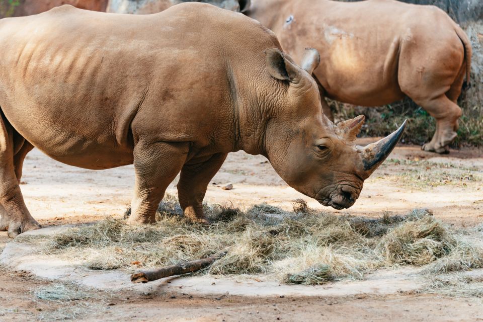 Atlanta: Zoo Atlanta General Admission Ticket - Animal Conservation Efforts